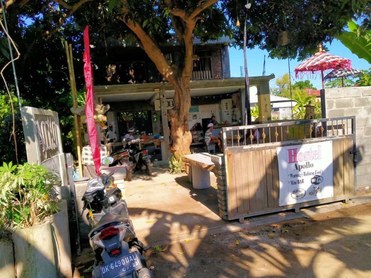 Apollo Hostel Lovina  Ngoại thất bức ảnh