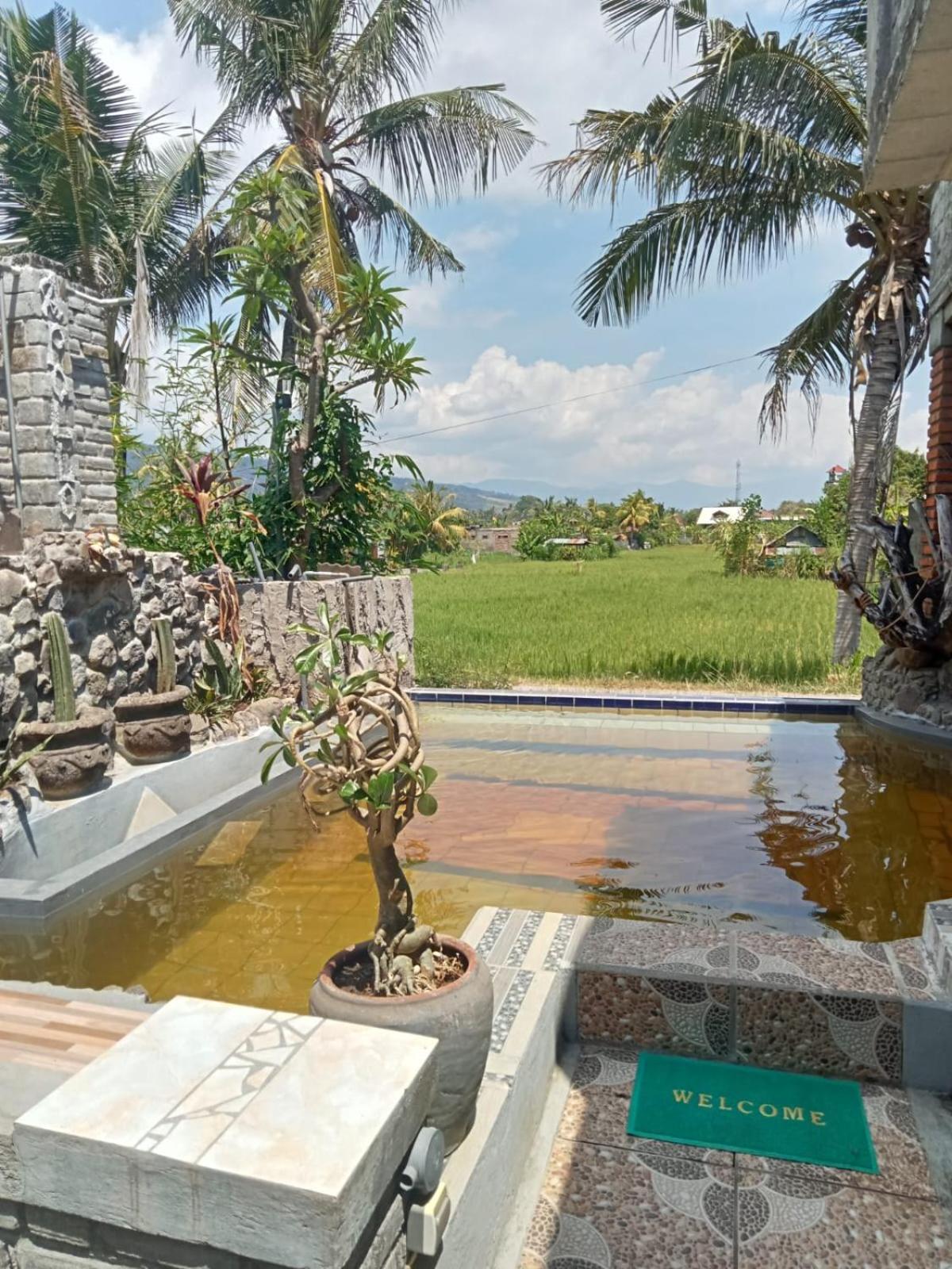 Apollo Hostel Lovina  Ngoại thất bức ảnh