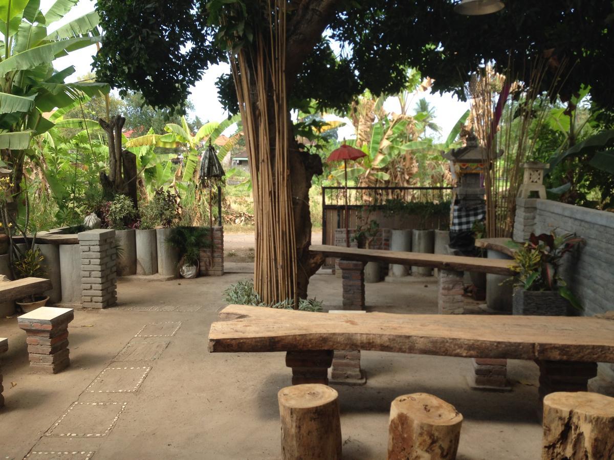 Apollo Hostel Lovina  Ngoại thất bức ảnh